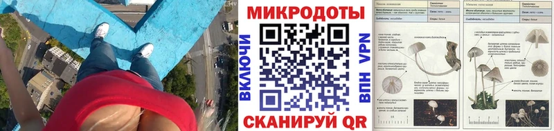 как найти закладки  Макушино  Псилоцибиновые грибы прущие грибы 